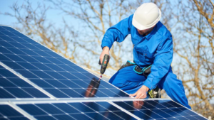 Solar Panels Maintenance on Lawn Lights